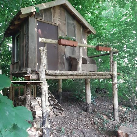 Baumhausnaechte Hotel Ladbergen Eksteriør billede